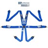 RRS RRS FIA R6 2.9 kg harnesses (6pts)